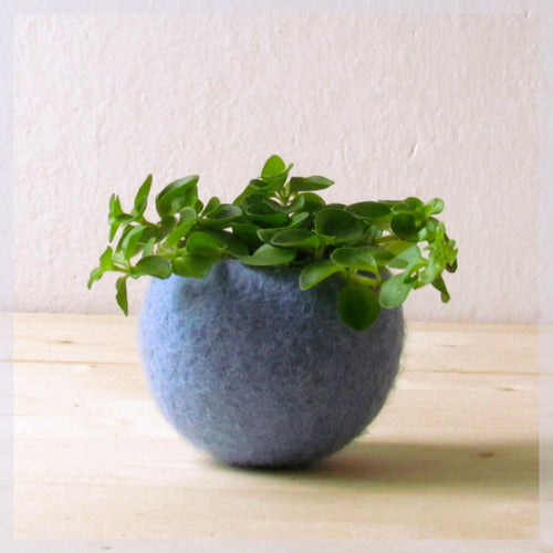 Felt succulent planter/felted bowl/Succulent pod/light blue/mother day gift