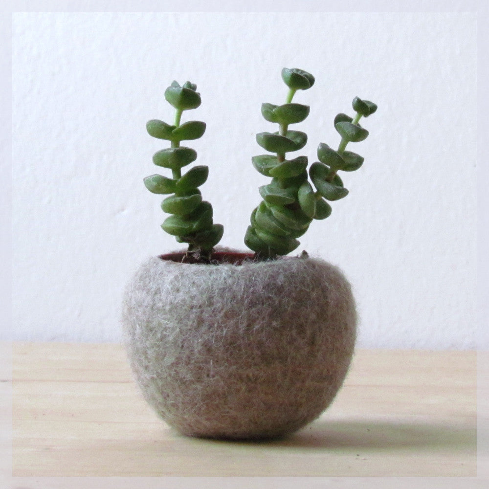 scandinavian plant pots Felt planter/hygge decor/felted bowl/Succulent pod/scandinavian decor/ – The Yarn Kitchen