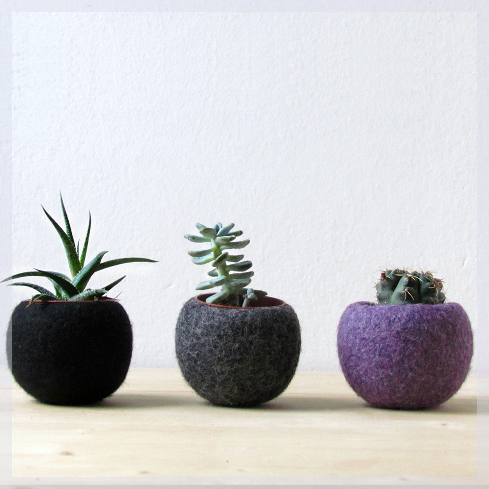 Felt succulent planter collection/black grey purple/Succulent terrarium/the dark side of the moon/home decor