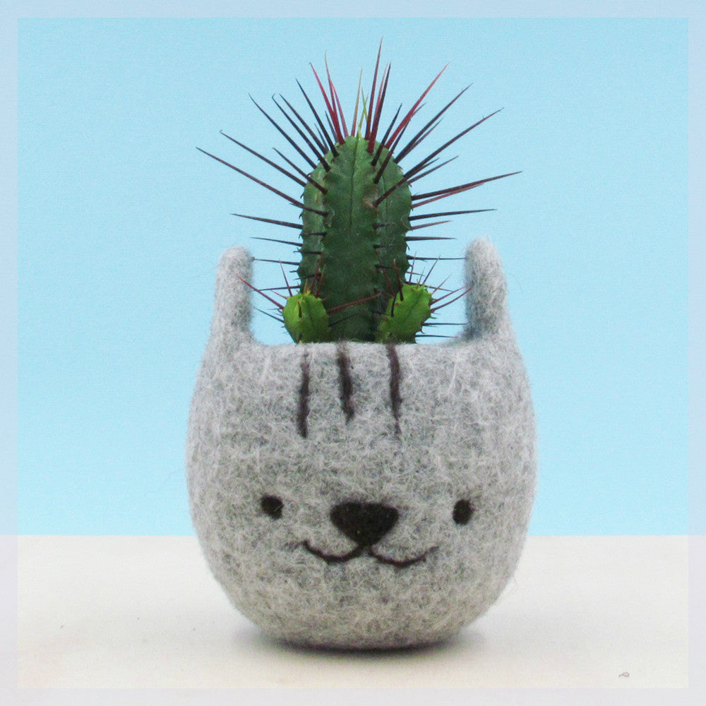 kitty succulent planter Cute plant pot/gift for her/Felt succulent planter/Neko Atsume special – The Yarn Kitchen