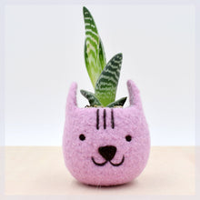 Neko Atsume planter special edition/Felt succulent planter/Cat head planter/Valentine day gift/gift for her