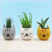 Girlfriend gift/Felt succulent planter/Neko Atsume/Kitty collector/Cat head planter/Kawaii cat gift/Set of three