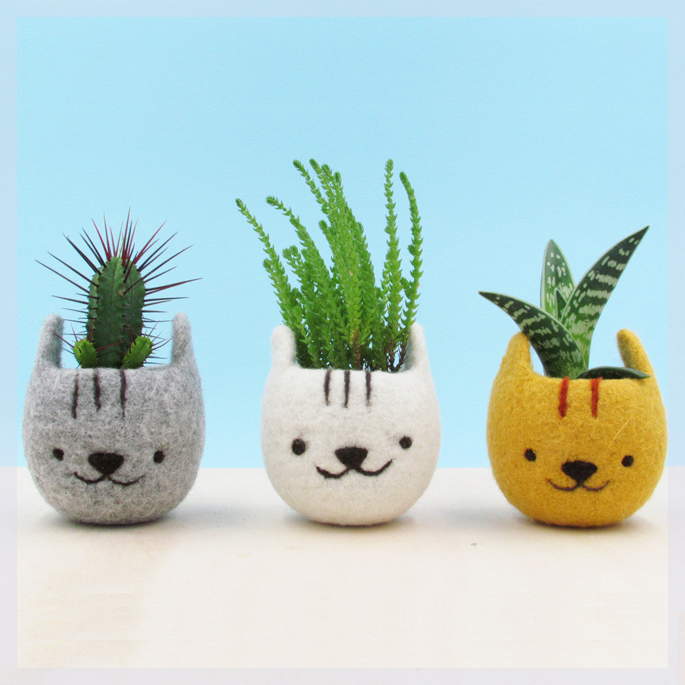 cat succulent holder Girlfriend gift/Felt succulent planter/Neko Atsume/Kitty collector/Cat – The Yarn Kitchen