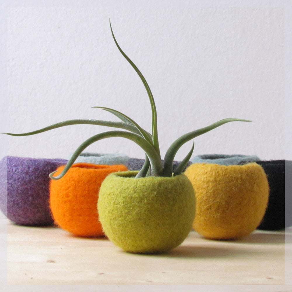 felt succulent planter Modern planter/Felt succulent planter/Wedding favor/Cactus terrarium/f – The Yarn Kitchen