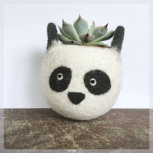 Felt succulent planter/panda planter/cactus planter/gift for her/desk decoration/succulent lover/cute cactus planter