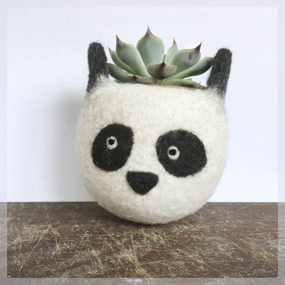 Felt succulent planter/panda planter/cactus planter/gift for her/desk decoration/succulent lover/cute cactus planter