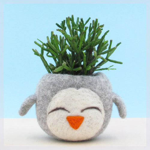 Felt succulent planter/grey vase/happy penguin/cactus planter/mini planter/nursery decor/gift for her/Choose your color!