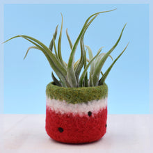 Felt succulent planter/Watermelon vase/bring summer outdoor in/felted planter/cactus vase/housewarming gift/gift for her