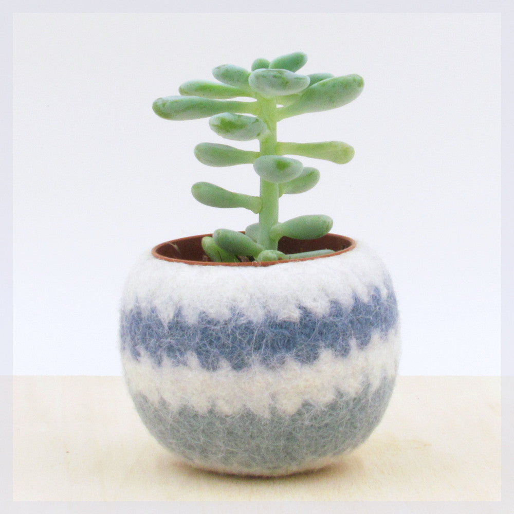 blue succulent planter Felt plant vase/felted bowl/Succulent pod/blue waves/succulent planter – The Yarn Kitchen