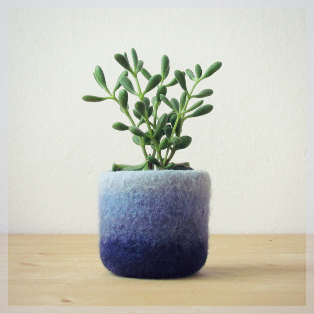 crate and barrel air plant Ombre blue mini plant vase for air plants – The Yarn Kitchen