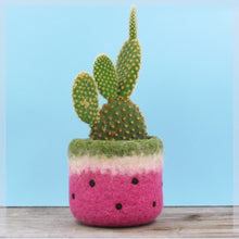 Felt succulent planter/cactus vase/Watermelon vase/summer gift/felted planter/housewarming gift/Red watermelon/gift for her