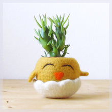Chick planter/Succulent planter/Small succulent pot/felt cactus vase/Animal planter/gift for her - Choose your color!