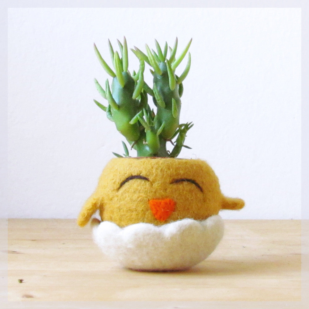 cute animal succulent pots Chick planter/Succulent planter/Small succulent pot/felt cactus vase/A – The Yarn Kitchen